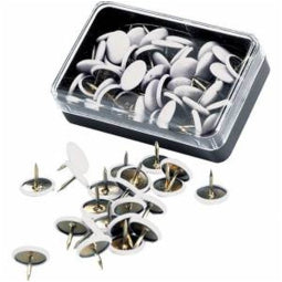 Puntine da disegno Plastica e Metallo 50pz