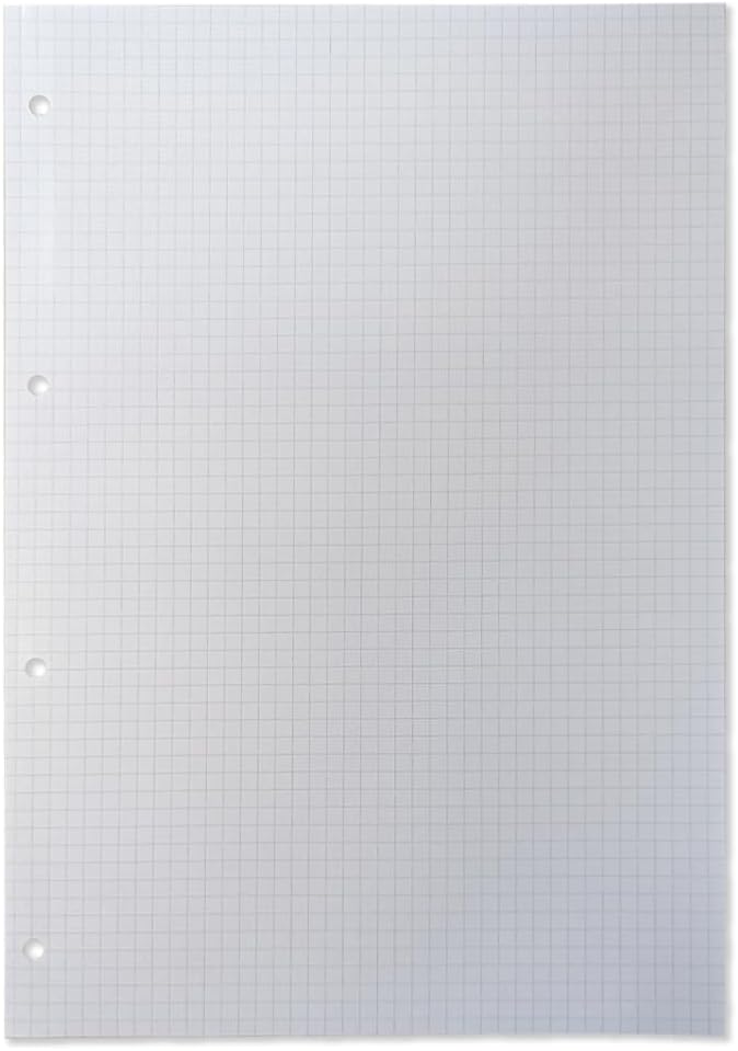 Ricambio Rinforzato A4 quadretti 5mm senza margine 100gr