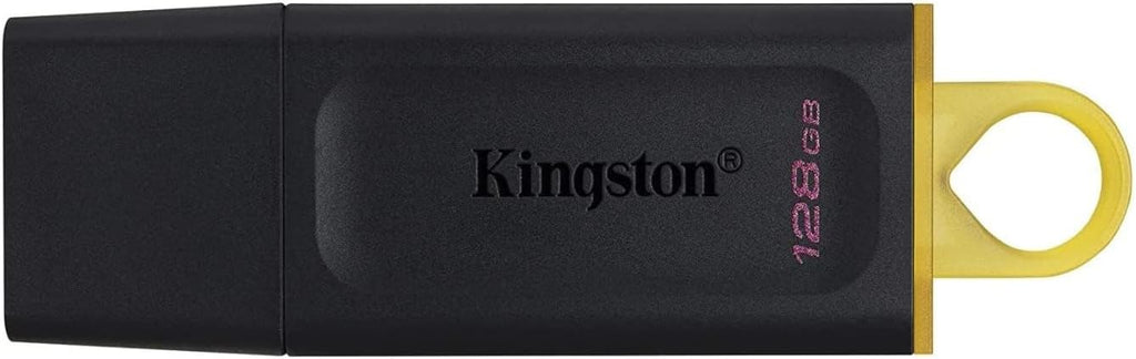 Chiavetta USB Kingston 128gb