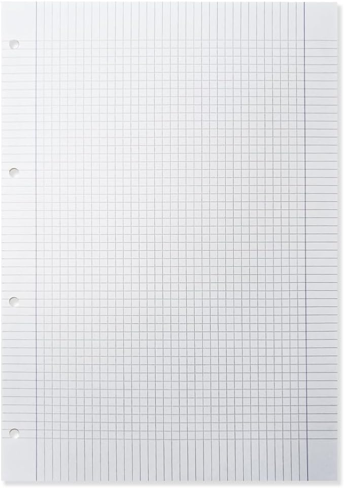 Ricambi Rinforzati A4 quadretti 5mm con margine 100gr