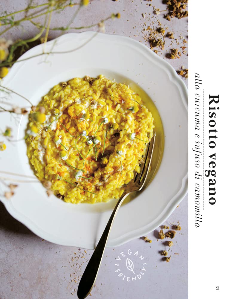 Il Grande Libro della Cucina Vegetale, ricette sane e sostenibili - Gribaudo