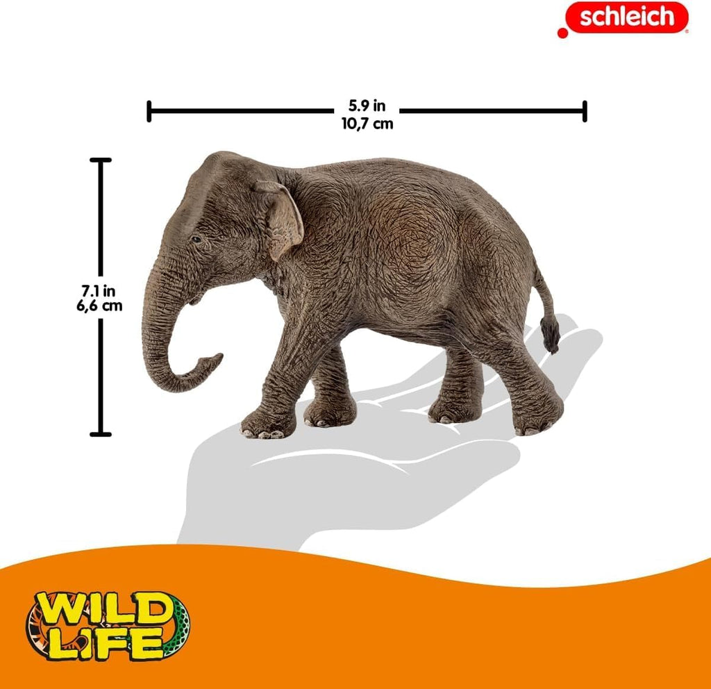 Animali plastica Elefante Africano Schleich