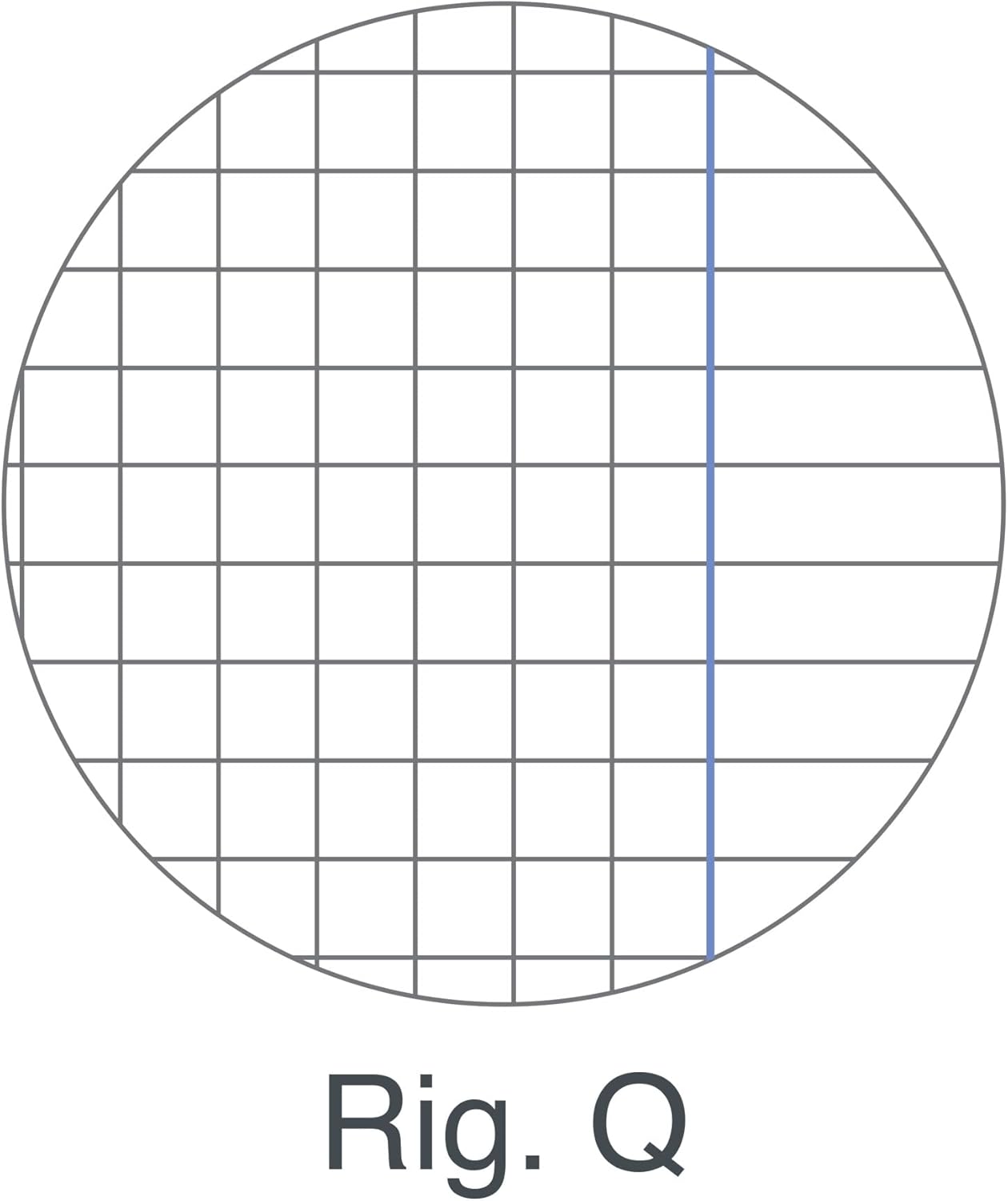 Ricambi Rinforzati A4 quadretti 5mm con margine 100gr