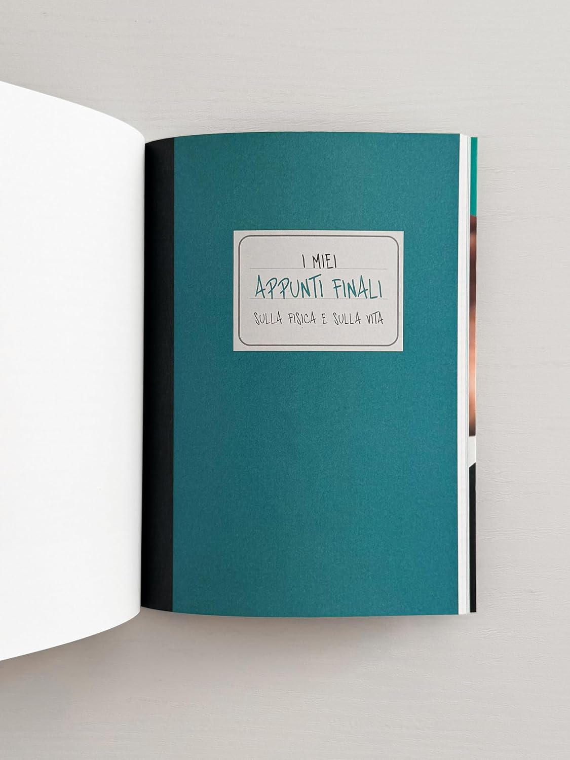 La vita che ci piace. Come la fisica può spiegarci la vita - Vincenzo Schettini