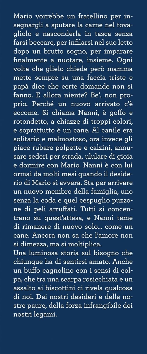 Un fratellino. Storia di Nanni e di Mario - Rosella Postorino
