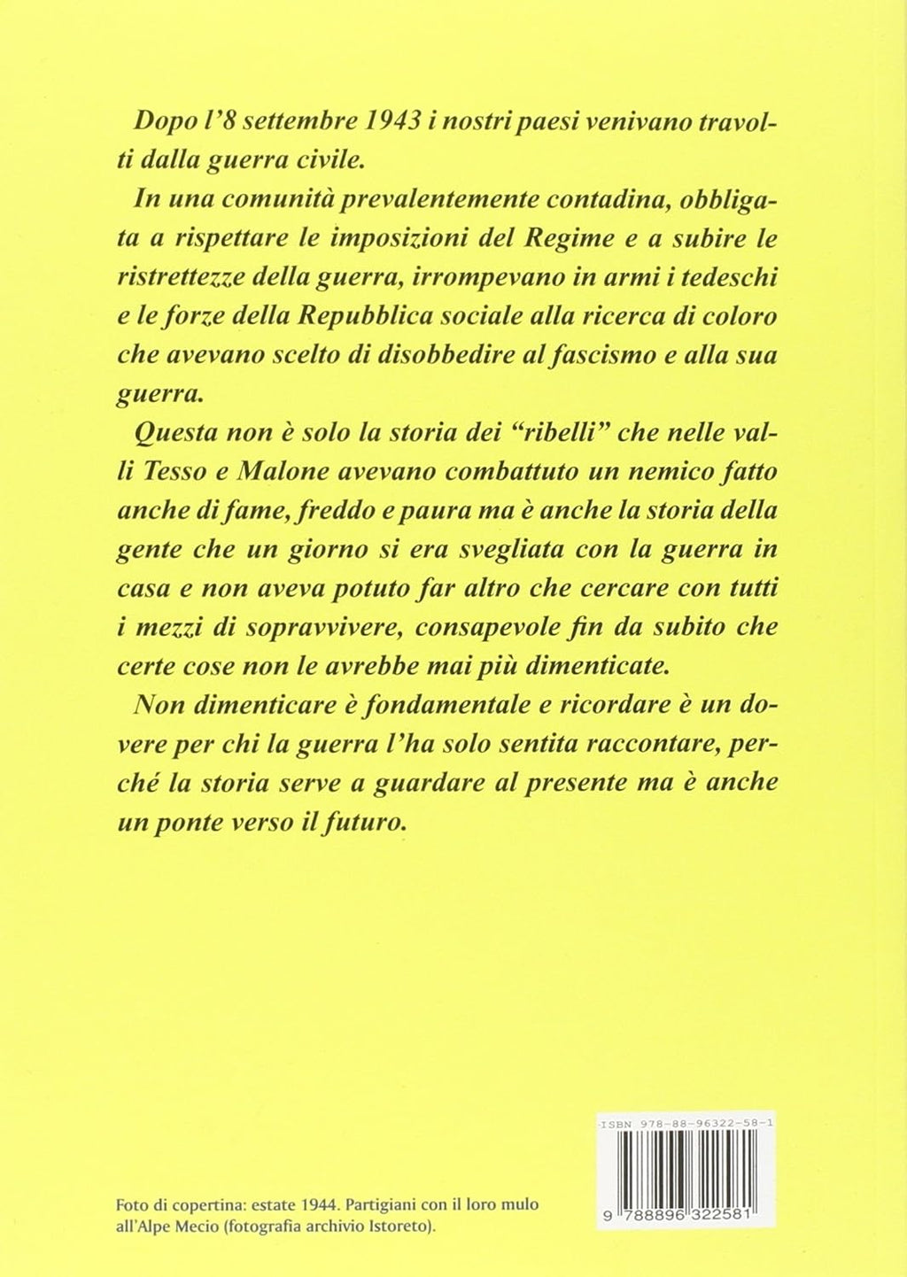 La Valle dei Ribelli. Corio e le valli Tesso e Malone dal fascismo alla Resistenza - Monica Data