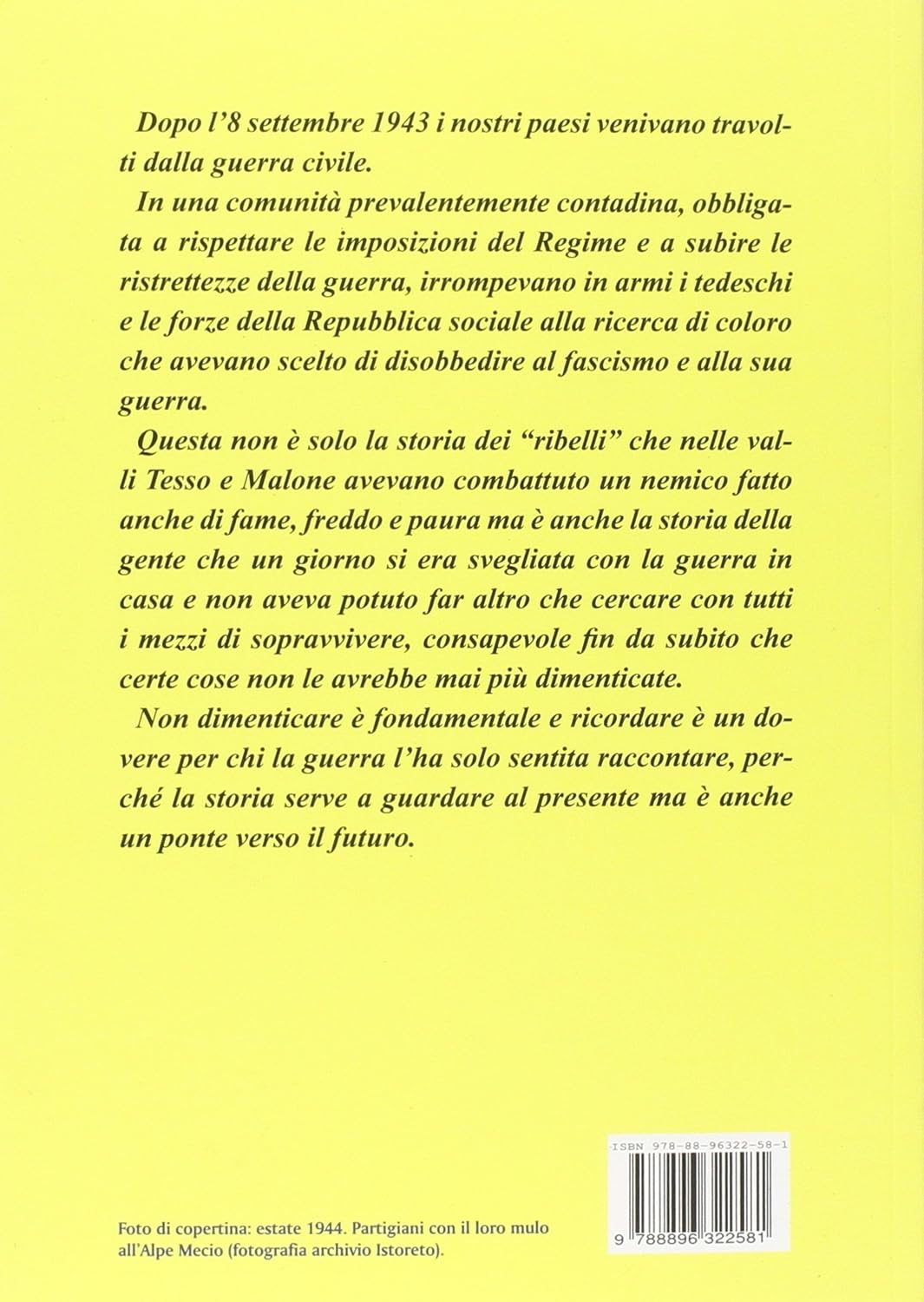La Valle dei Ribelli. Corio e le valli Tesso e Malone dal fascismo alla Resistenza - Monica Data