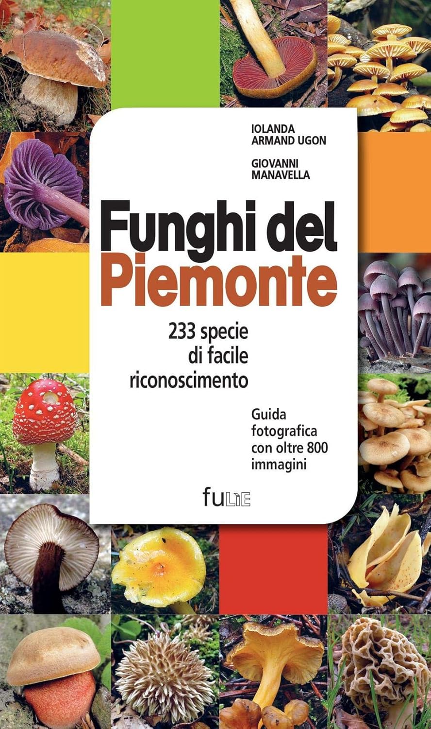 Funghi del Piemonte. 233 specie di facile riconoscimento - Giovanni Manavella, Iolanda Armand Ugon