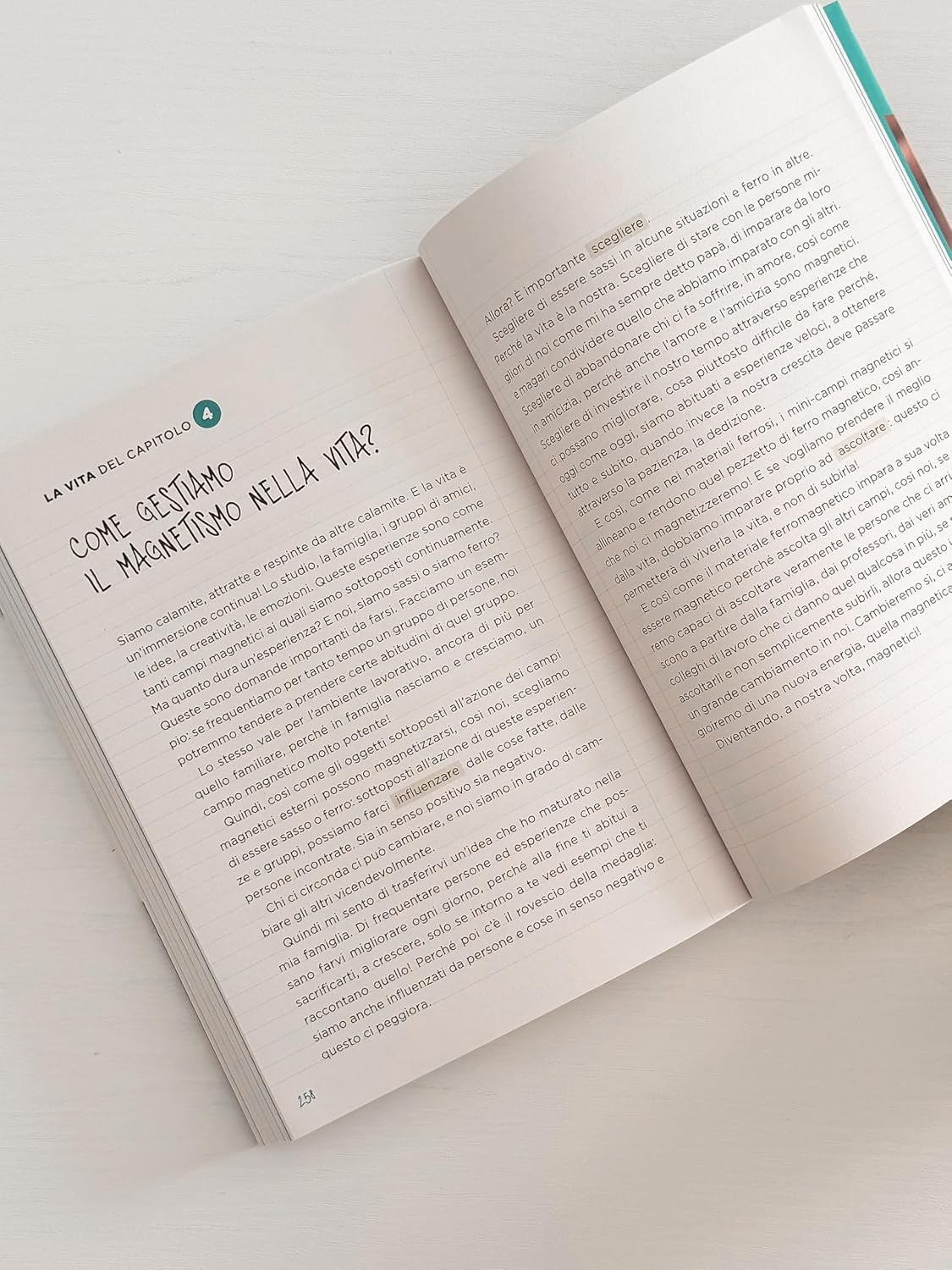 La vita che ci piace. Come la fisica può spiegarci la vita - Vincenzo Schettini