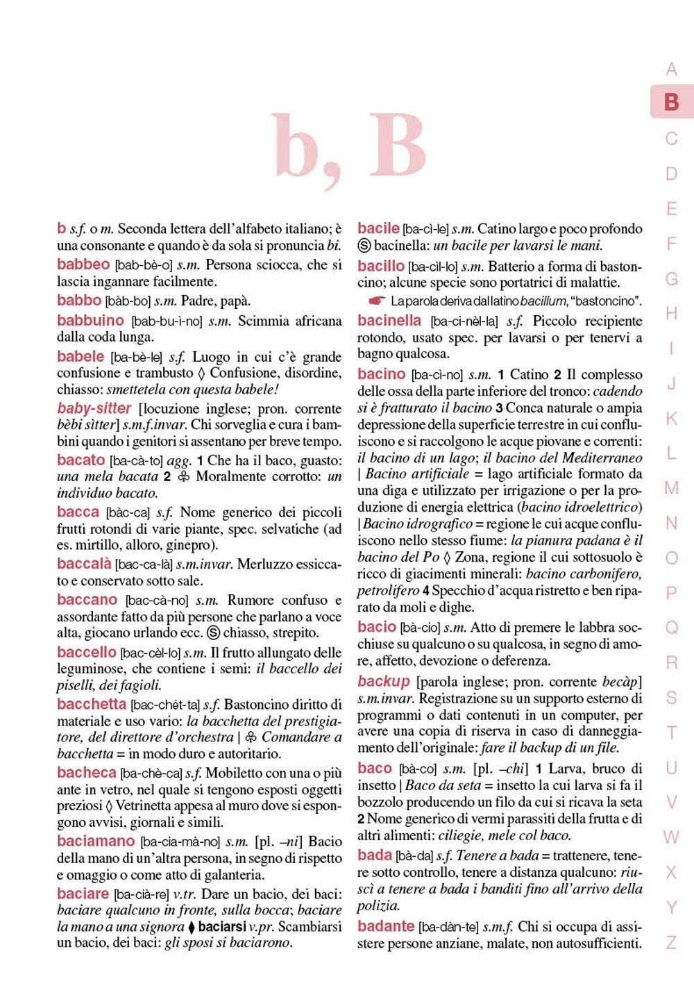 Il Mio Primo Dizionario. Nuovo MIOT - Mari Roberto