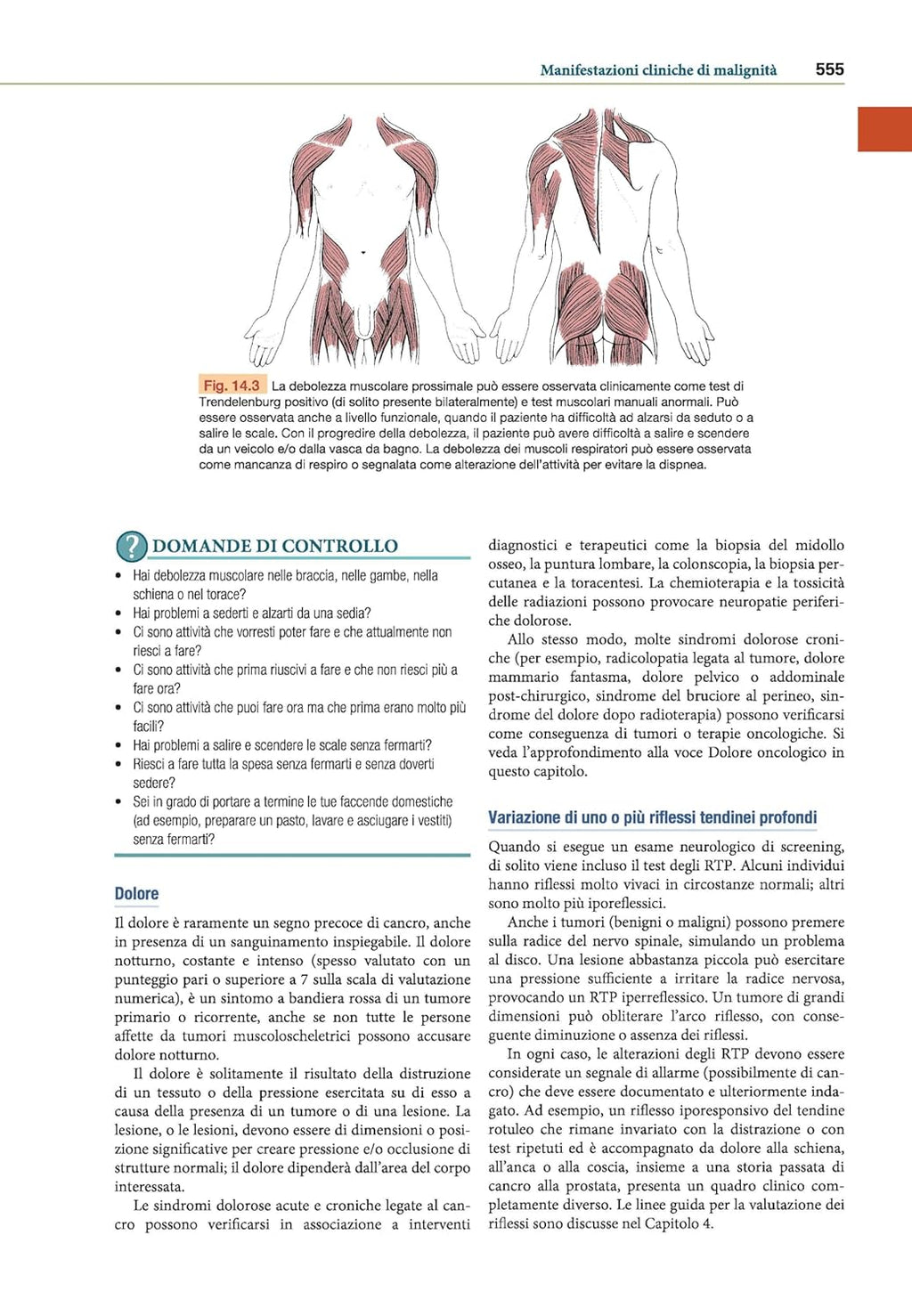 Goodman e Snyder`s diagnosi differenziale per fisioterapisti. Screening for referral