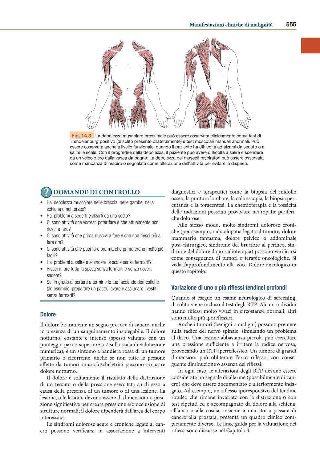 Goodman e Snyder`s diagnosi differenziale per fisioterapisti. Screening for referral