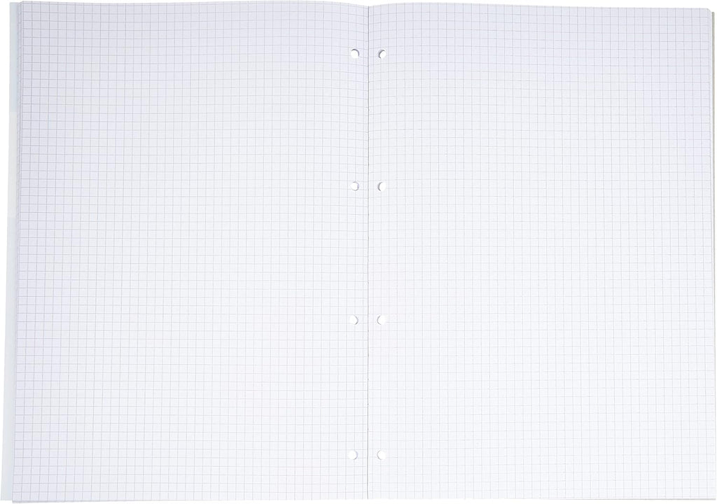 Pigna Blocco Collato A4 quadretti 5mm forati Quablock