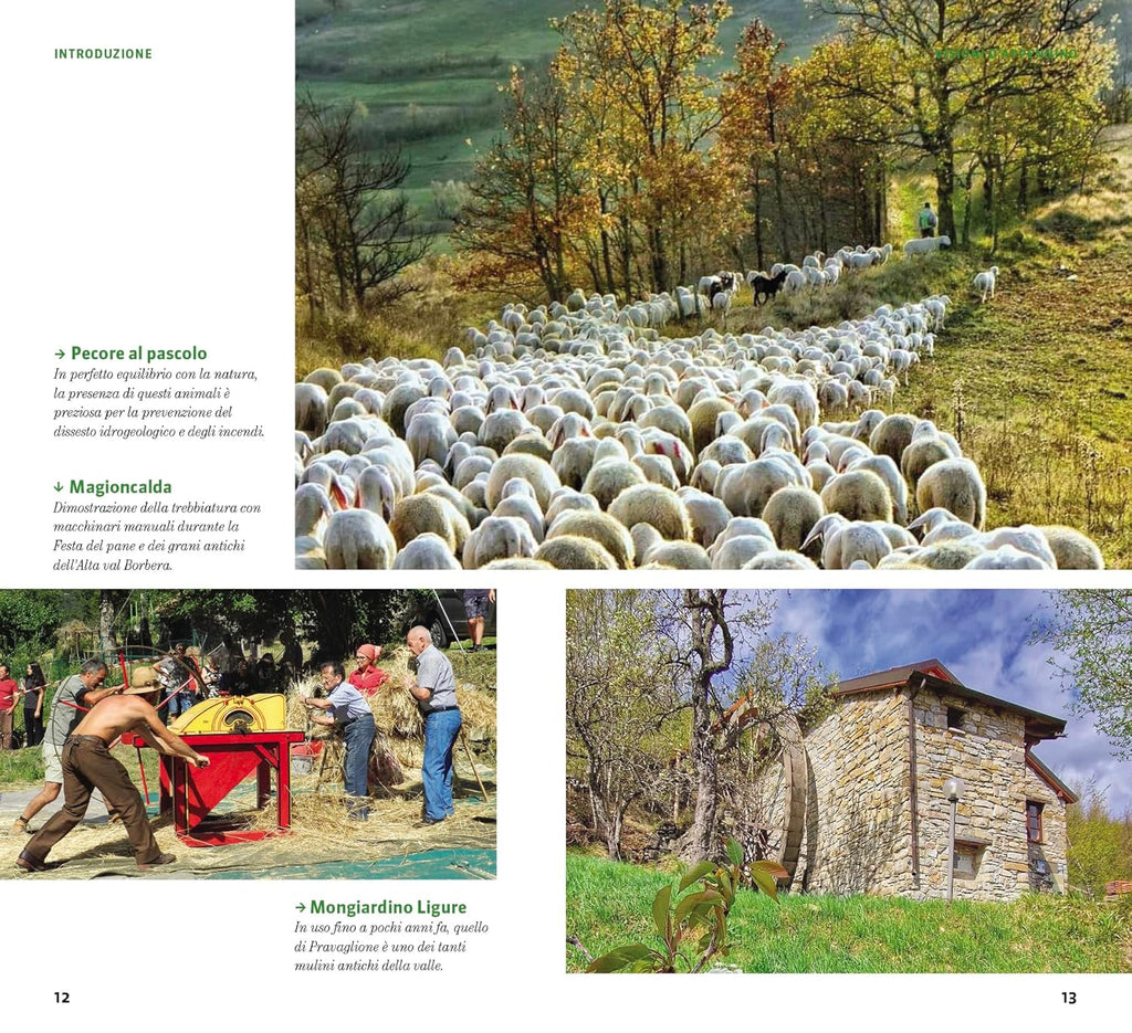 Il Cammino dei Ribelli. A Piedi in Piemonte: 120km in val Bordera - D'Alessandro Giacomo