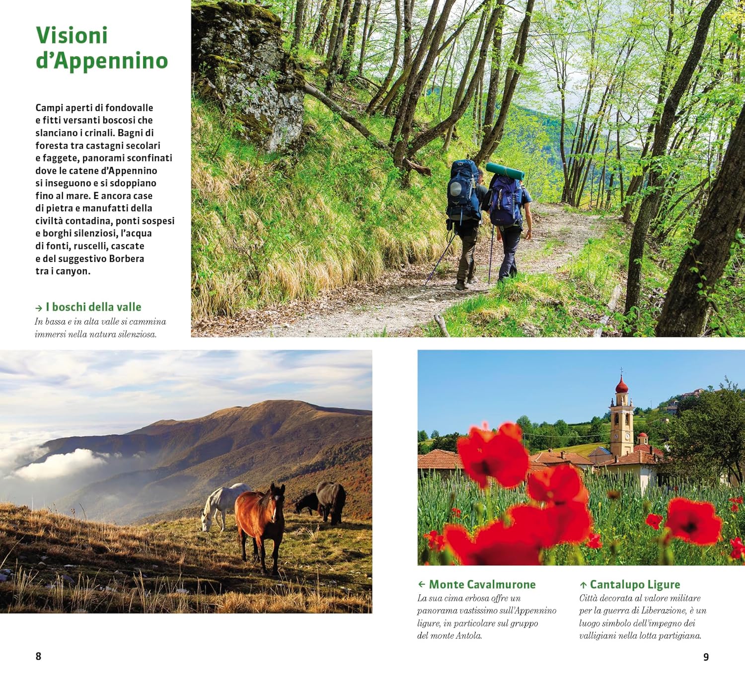 Il Cammino dei Ribelli. A Piedi in Piemonte: 120km in val Bordera - D'Alessandro Giacomo