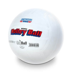 Palla Volley 280gr 21,6cm BioBall