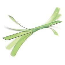 Riga 20cm Doppiodecimetro Elastika