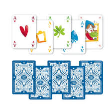 Le mie prime carte Magiche Clementoni